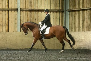 Isis Dressage Crown Farm Show 29th April 2012